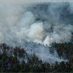 September Potluck - Guest speaker Aaron Groth "Fire Prevention and Preparedness in the Siletz Valley"